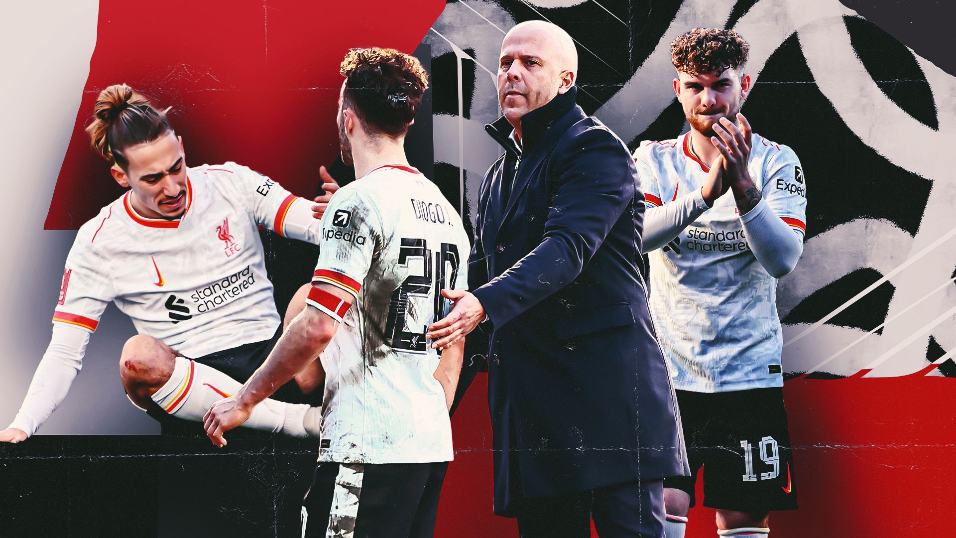 为读者展现 为读者展现